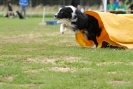 Agilityturnier am 30.06.2007 _606