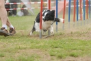 Agilityturnier am 30.06.2007 _608