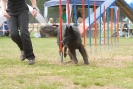 Agilityturnier am 30.06.2007 _619