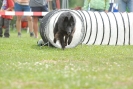 Agilityturnier am 30.06.2007 _620