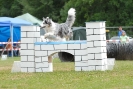Agilityturnier am 30.06.2007 _627