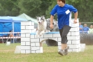 Agilityturnier am 30.06.2007 _629