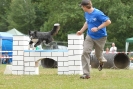 Agilityturnier am 30.06.2007 _636