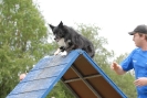 Agilityturnier am 30.06.2007 _637