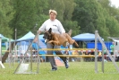 Agilityturnier am 30.06.2007 _639