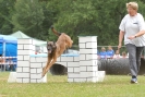 Agilityturnier am 30.06.2007 _640