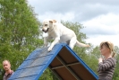 Agilityturnier am 30.06.2007 