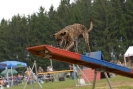 Agilityturnier am 30.06.2007 _65