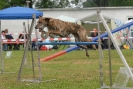 Agilityturnier am 30.06.2007 _66