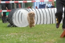 Agilityturnier am 30.06.2007 _706