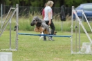 Agilityturnier am 30.06.2007 _708
