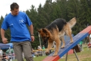 Agilityturnier am 30.06.2007 _70