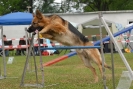 Agilityturnier am 30.06.2007 _71