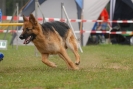 Agilityturnier am 30.06.2007 _72