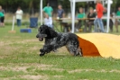 Agilityturnier am 30.06.2007 _732