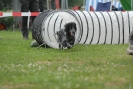 Agilityturnier am 30.06.2007 _735