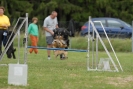 Agilityturnier am 30.06.2007 _737