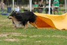 Agilityturnier am 30.06.2007 _738