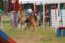 Agilityturnier am 30.06.2007 _73