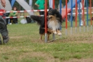 Agilityturnier am 30.06.2007 _740