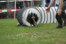 Agilityturnier am 30.06.2007 _741