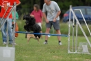 Agilityturnier am 30.06.2007 _743