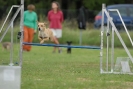 Agilityturnier am 30.06.2007 _747