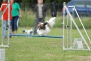 Agilityturnier am 30.06.2007 _764