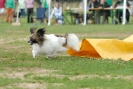 Agilityturnier am 30.06.2007 _765