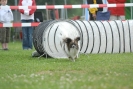 Agilityturnier am 30.06.2007 _768