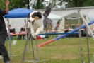 Agilityturnier am 30.06.2007 _76