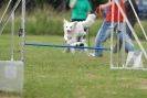 Agilityturnier am 30.06.2007 _770
