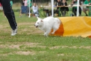 Agilityturnier am 30.06.2007 _771