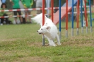 Agilityturnier am 30.06.2007 _773