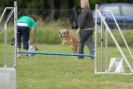 Agilityturnier am 30.06.2007 _776