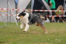 Agilityturnier am 30.06.2007 _77