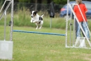 Agilityturnier am 30.06.2007 _784