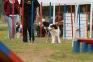 Agilityturnier am 30.06.2007 _78