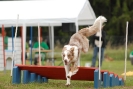 Agilityturnier am 30.06.2007 _79