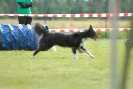 Agilityturnier am 30.06.2007 _800