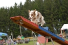 Agilityturnier am 30.06.2007 _80