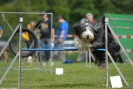 Agilityturnier am 30.06.2007 _811