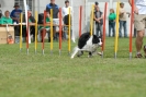 Agilityturnier am 30.06.2007 _813