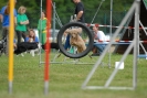 Agilityturnier am 30.06.2007 _874