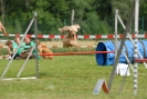 Agilityturnier am 30.06.2007 _876