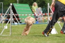 Agilityturnier am 30.06.2007 _877