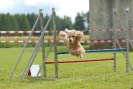 Agilityturnier am 30.06.2007 _878