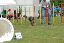 Agilityturnier am 30.06.2007 _880