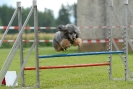 Agilityturnier am 30.06.2007 _882