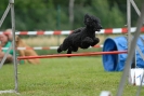 Agilityturnier am 30.06.2007 _884